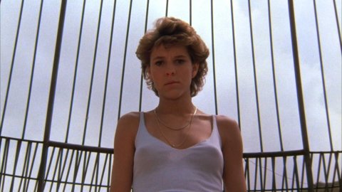 Kristy McNichol - Porn Scenes in White Dog (1982)